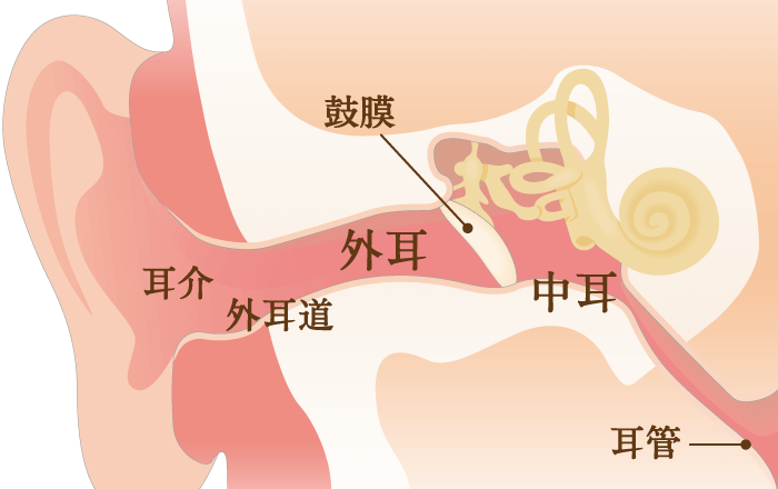 みみの病気 各部位