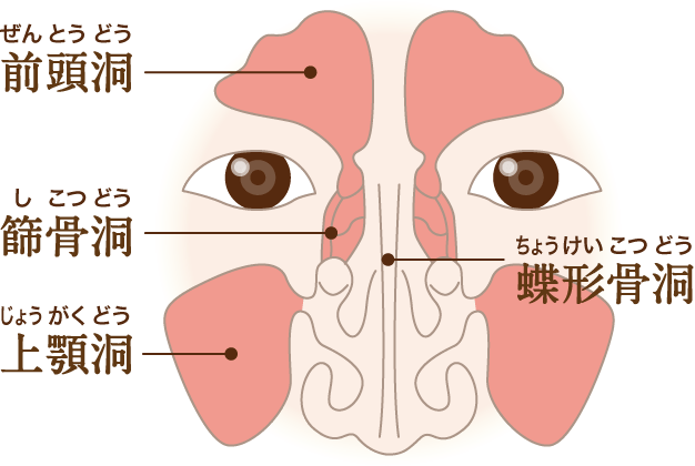 はなの病気 各部位